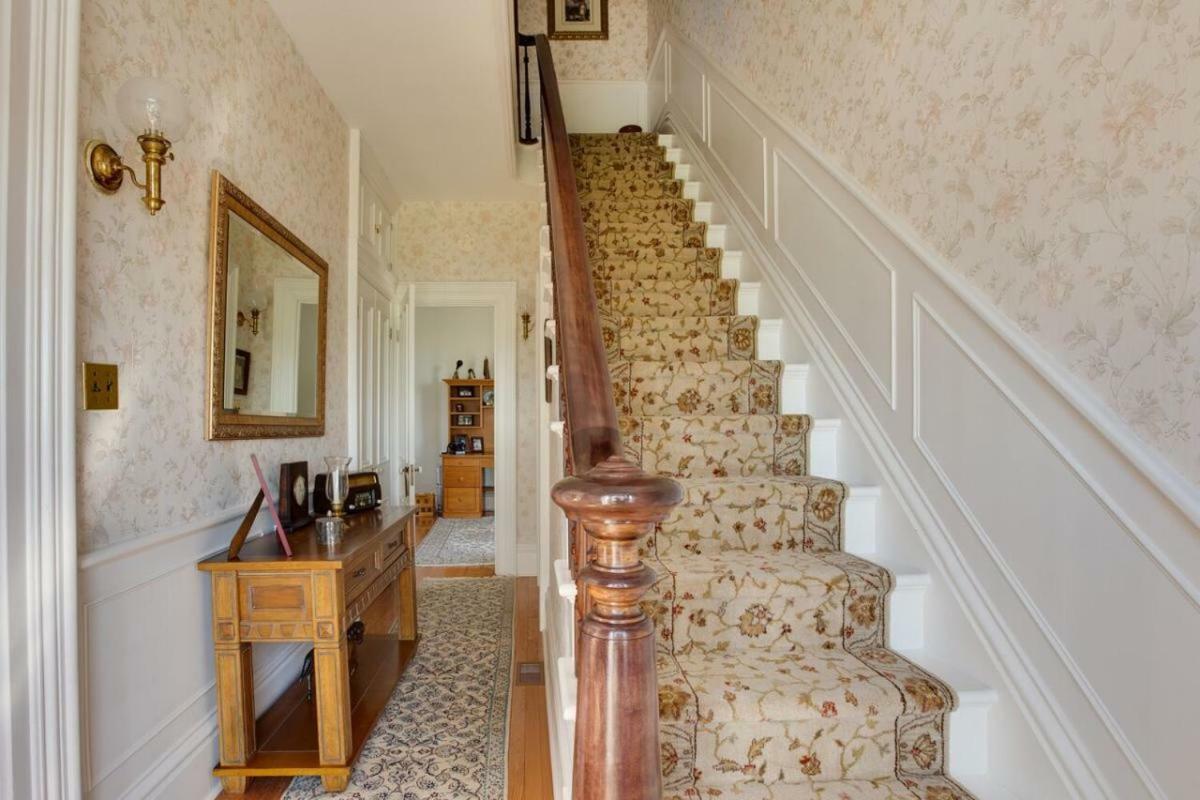 Our Space The Perfect Place B&B Picton Dış mekan fotoğraf